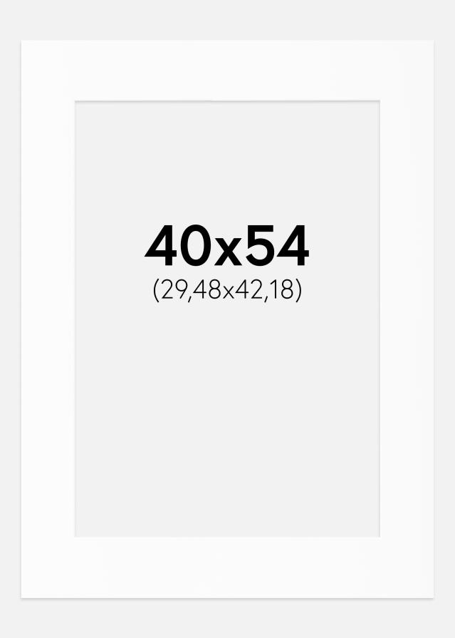 Paszpartu Standard fehér (fehér mag) 40x54 cm (29,48x42,18)