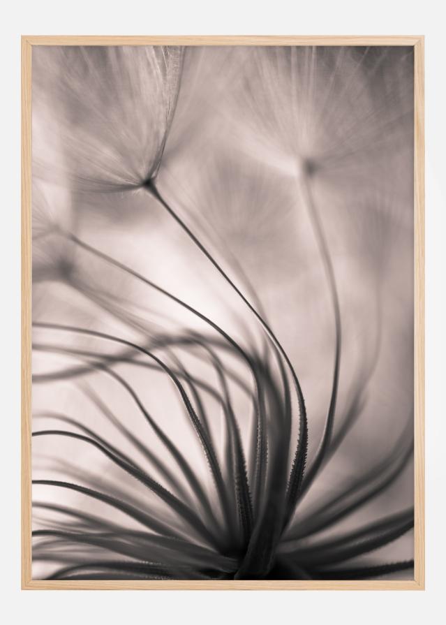 Faded Blurry Flower Poszter