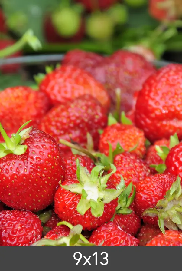 Nagyítás Standard Photo Glossy 290 g