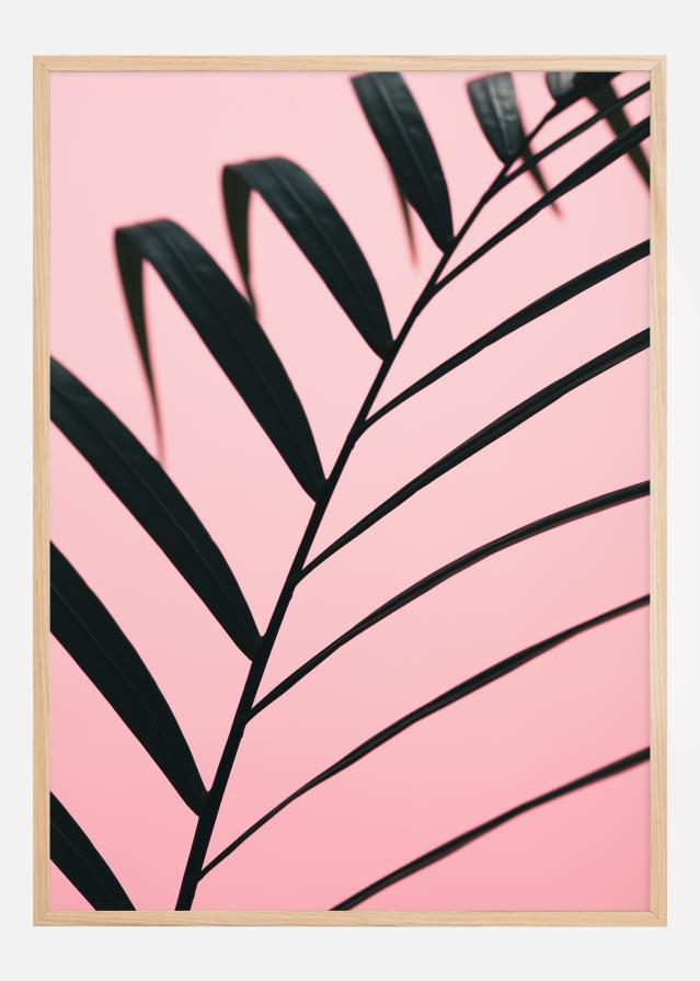 Graphic palm leaf Poszter