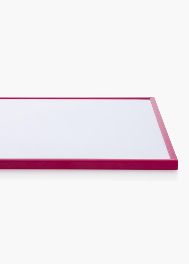 Keret New Lifestyle Akrilüveg Rose 70x100 cm