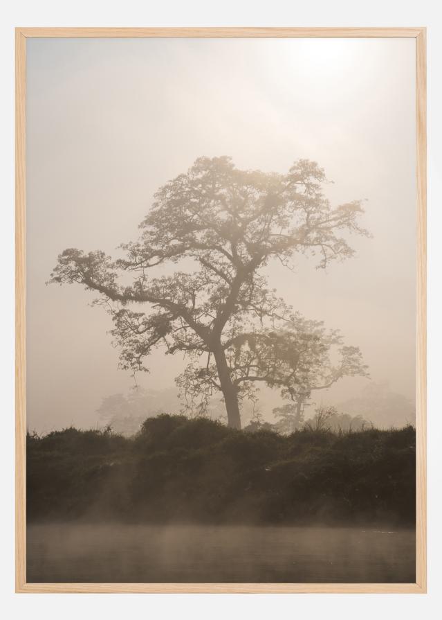 Misty Tree Poszter