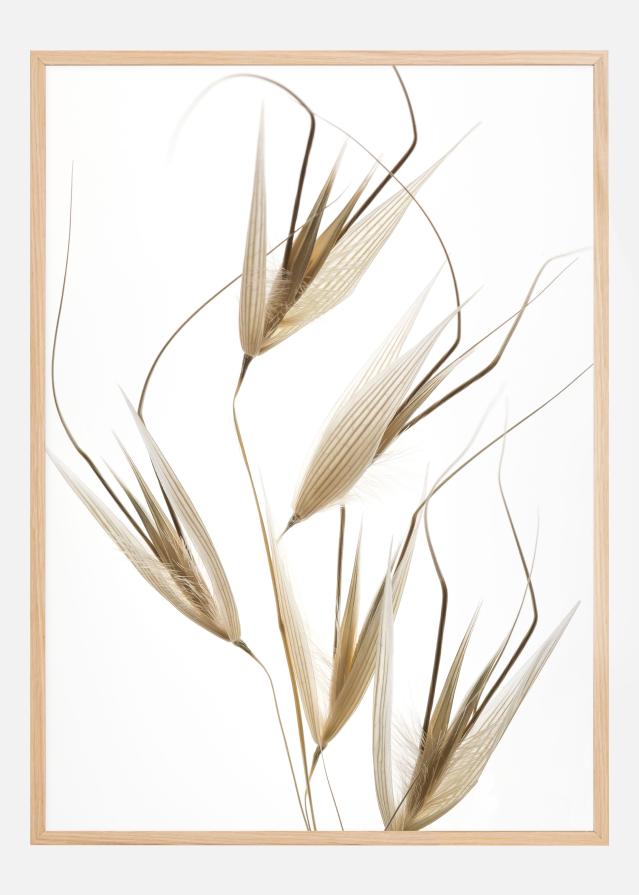 Delicacy of nature Poszter