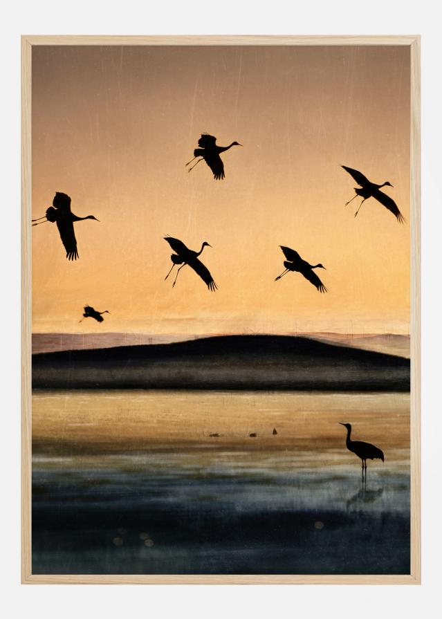 Fly-In At Sunset Poszter