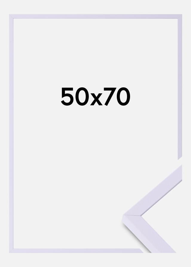 Colorful Akrilüveg Lila 50x70 cm