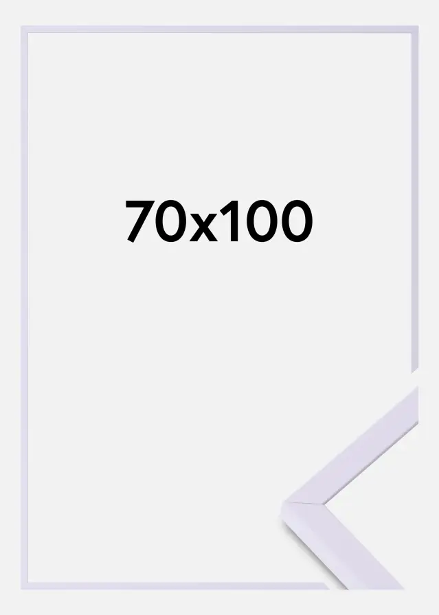 Colorful Akrilüveg Lila 70x100 cm