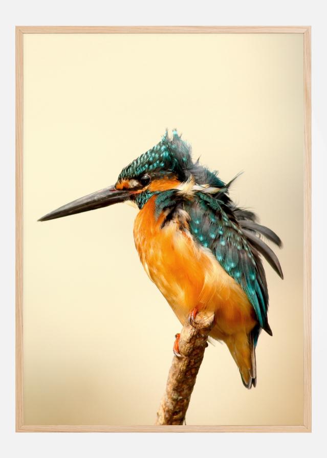 Bird On Tree Poszter