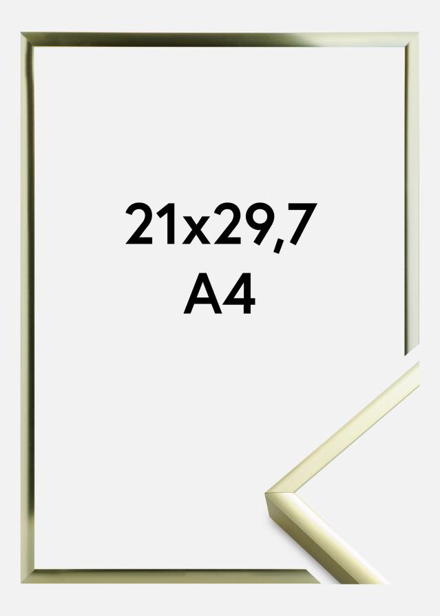 Keret Poszter Frame Aluminum Gold 21x29,7 cm (A4)