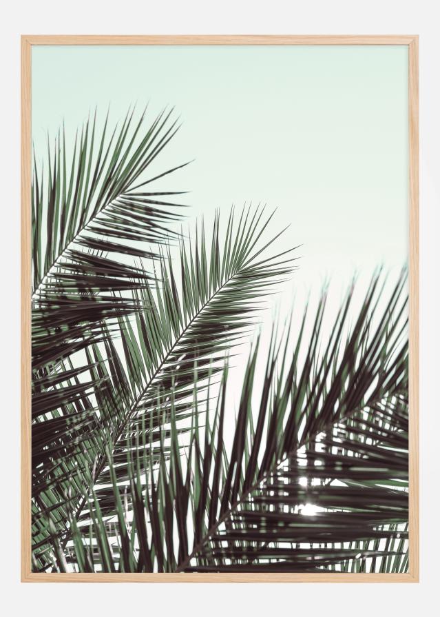 Palm leaves sky Poszter