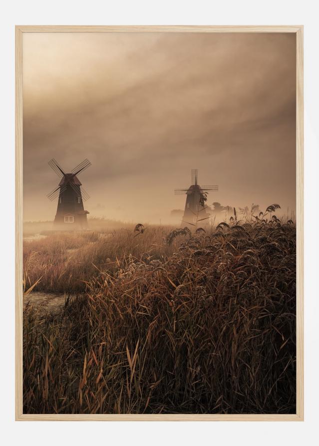 A Fascinating Morning Poszter