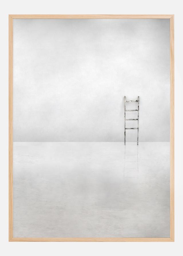 The social ladder Poszter