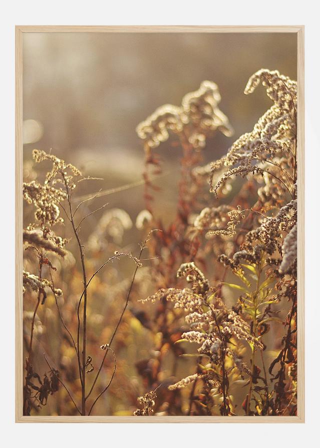 Summer Evening Poszter