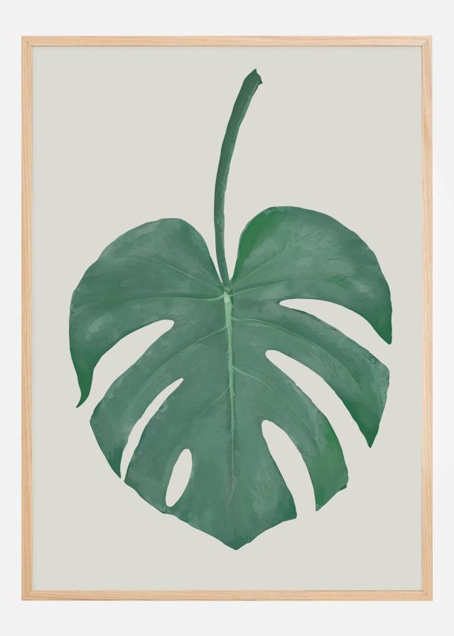 Monstera Aqua Poszter