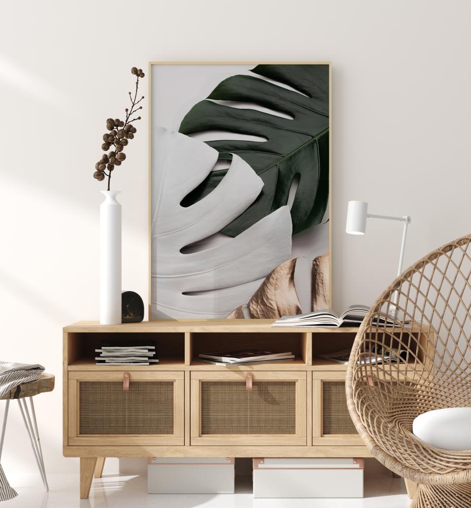 Monstera Colors Poszter