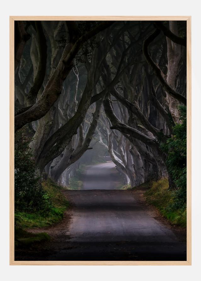 The Dark Hedges Magic road Poszter