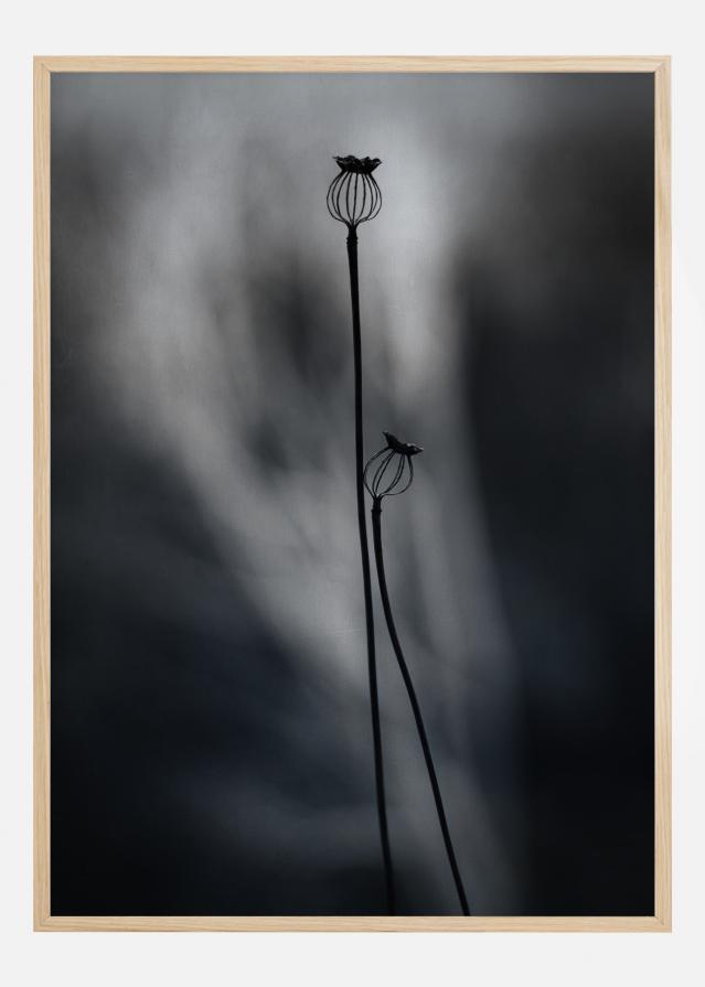 From Last Year Poszter