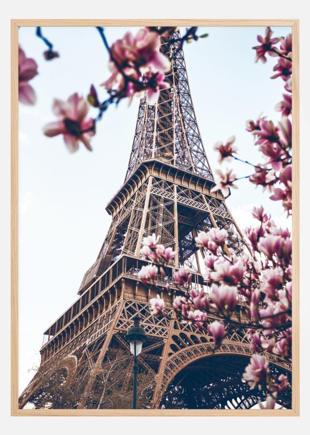 Eiffel Tower Blossoms Poszter