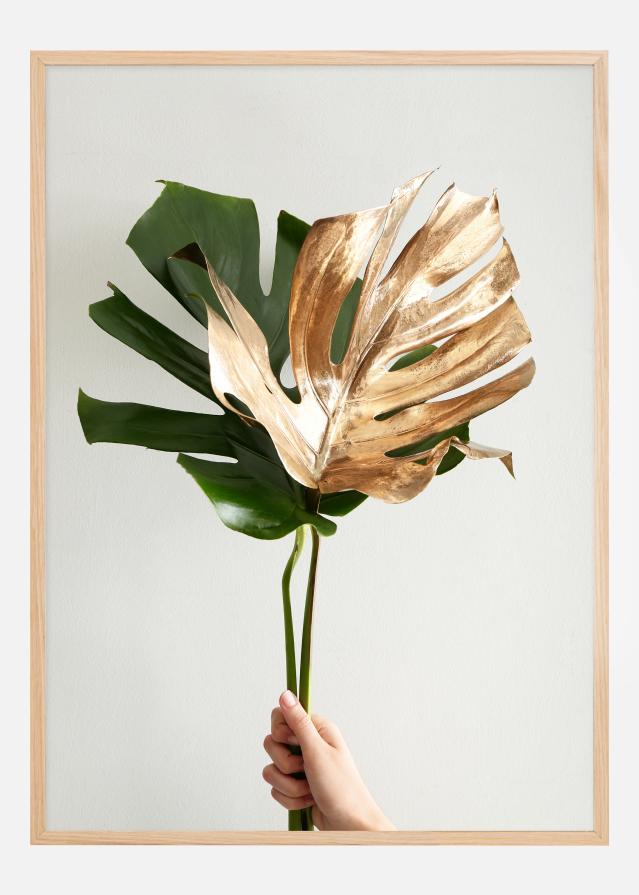 Golden monstera Poszter