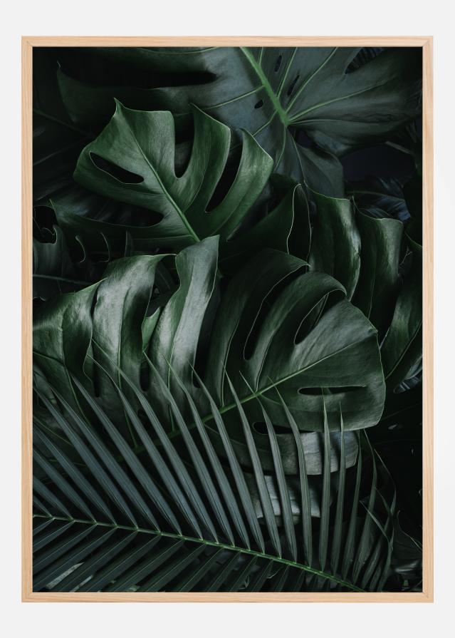 Monstera Plant II Poszter