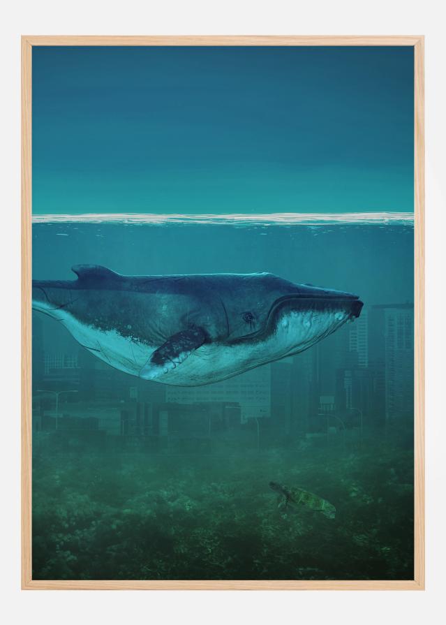 Blue Whale Poszter
