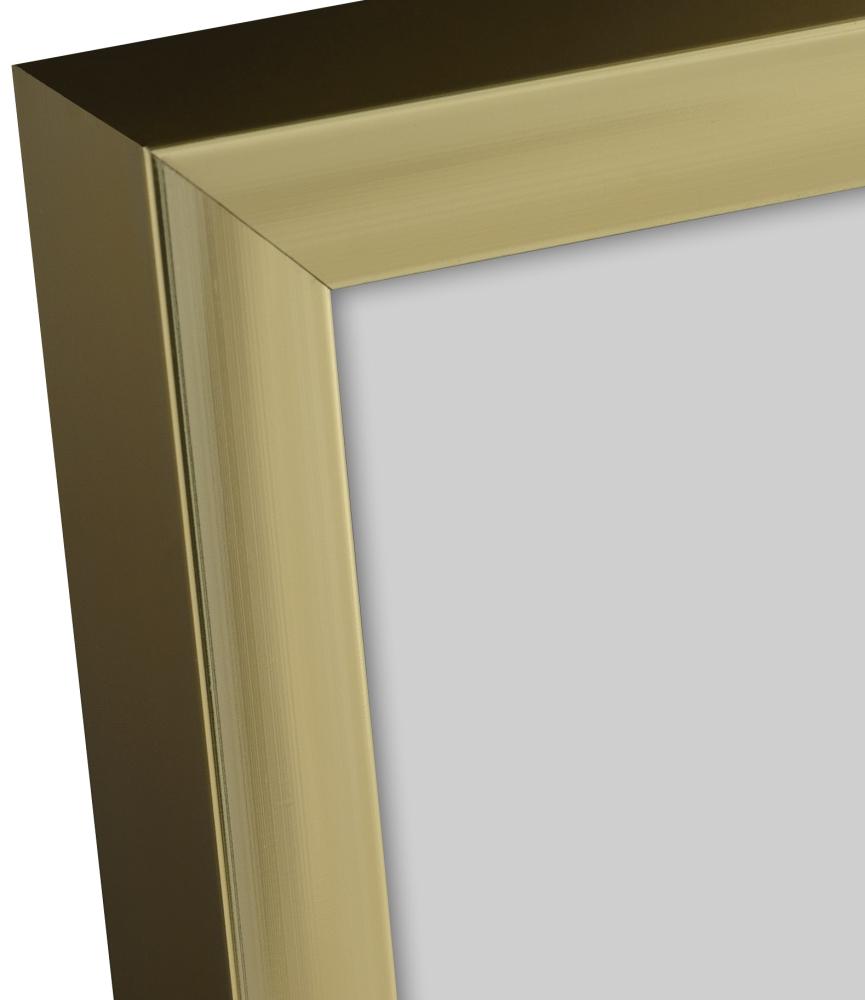 Keret Poszter Frame Aluminum Gold 70x100 cm - Paszpartu Fekete 59,4x84 cm (A1)