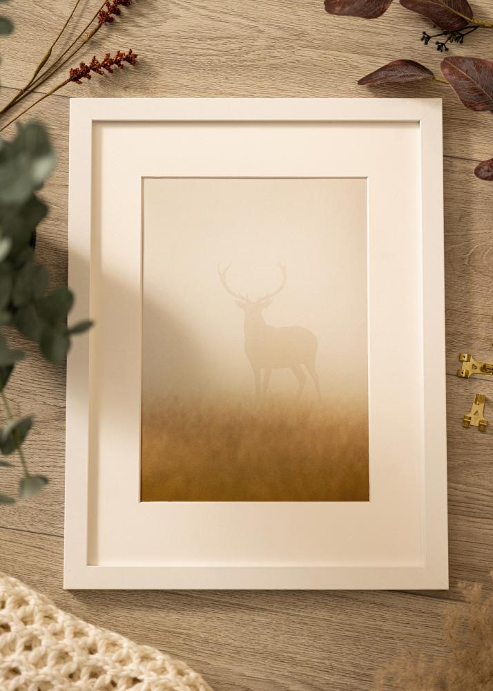 Keret Deco Akrilüveg Fehér 60x80 cm