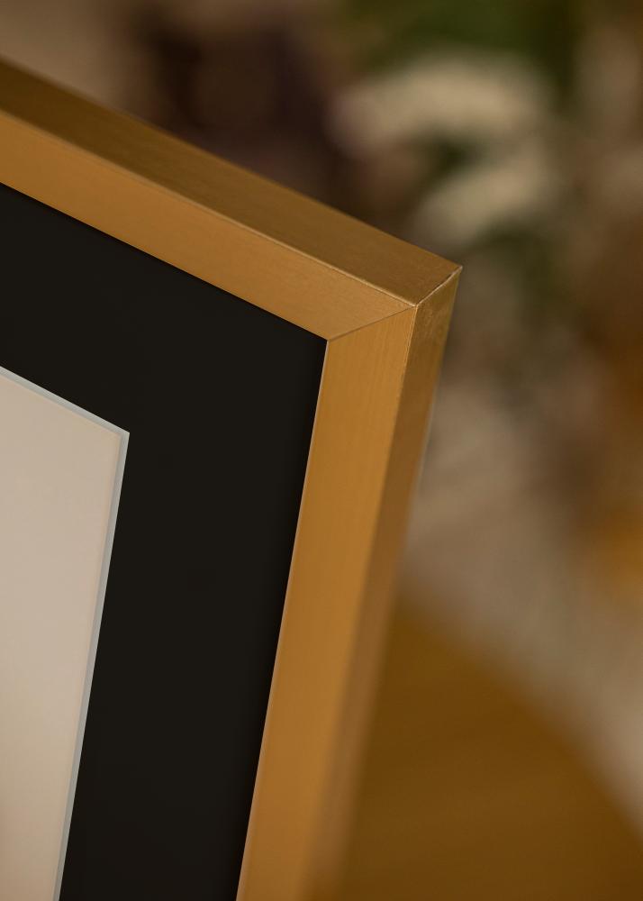 Keret Selection Arany 70x100 cm - Paszpartu Fekete 62x93 cm