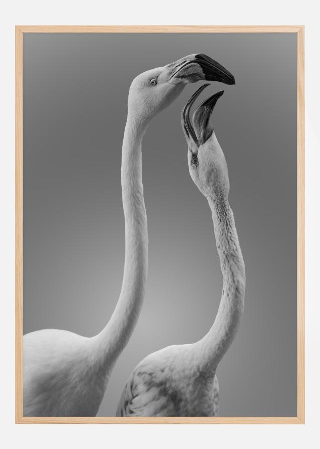 Kiss Of Life Poszter