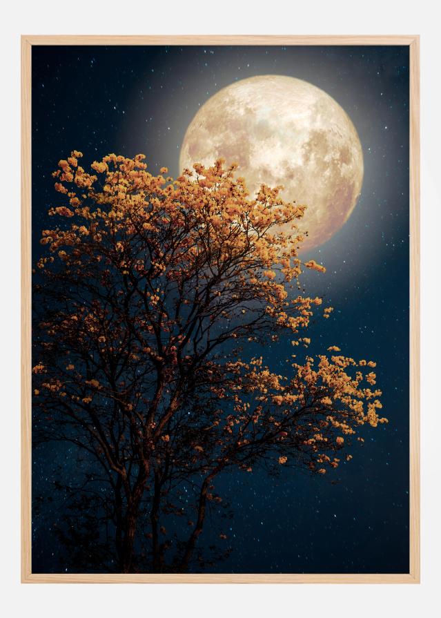 Tree in moonlight Poszter