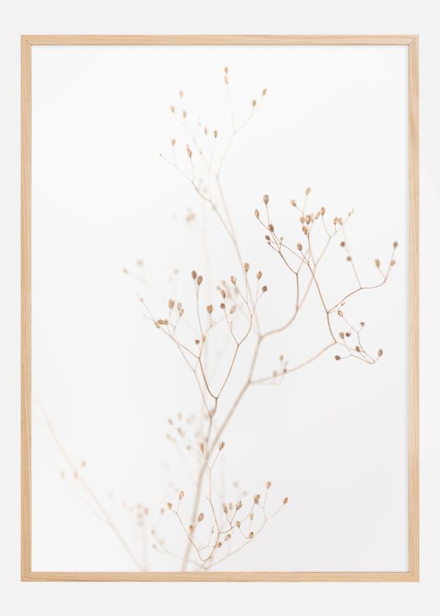 Beige straws Poszter