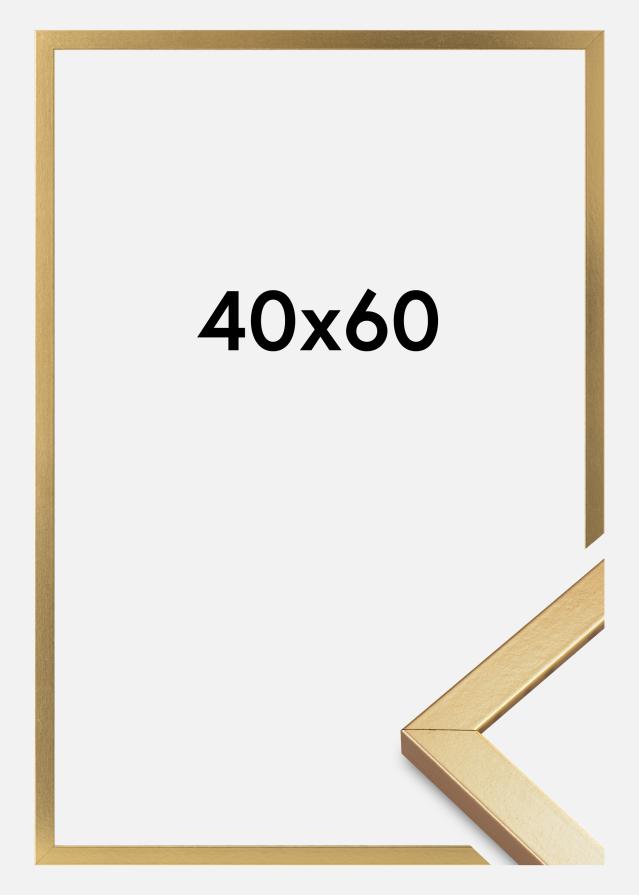 Keret Minerva Akrilüveg Arany 40x60 cm