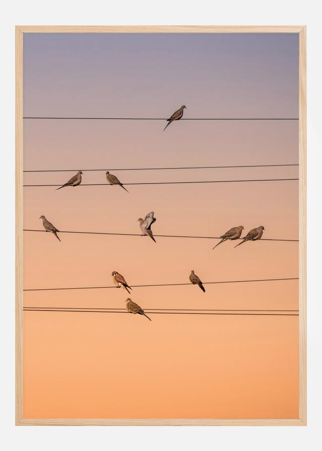 Music Of Light Poszter