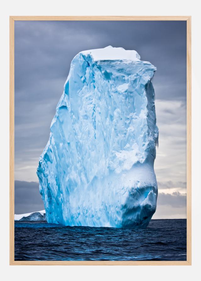 Iceberg Poszter