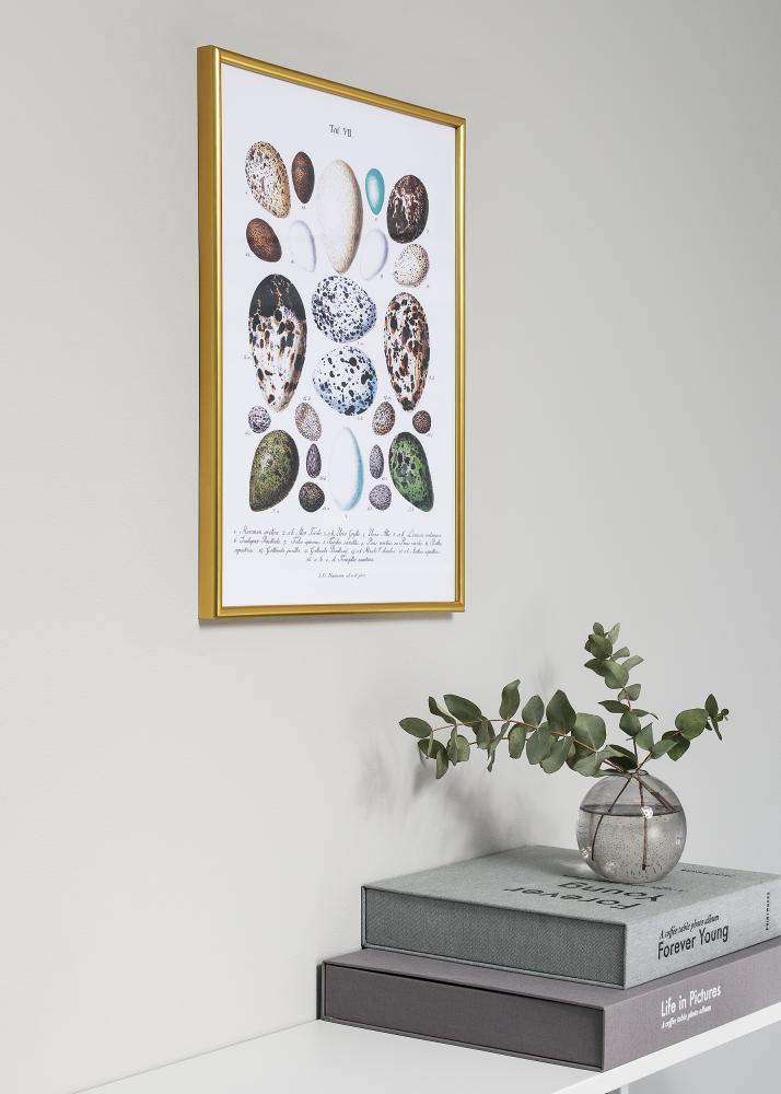 Keret Decoline Akrilüveg Arany 60x80 cm