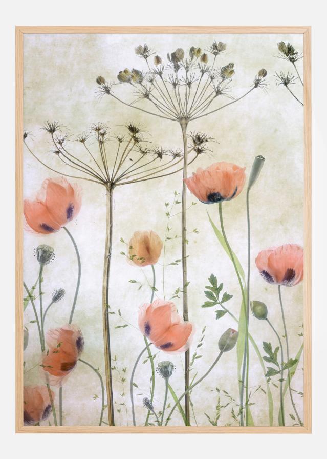 Poppy Meadow Poszter