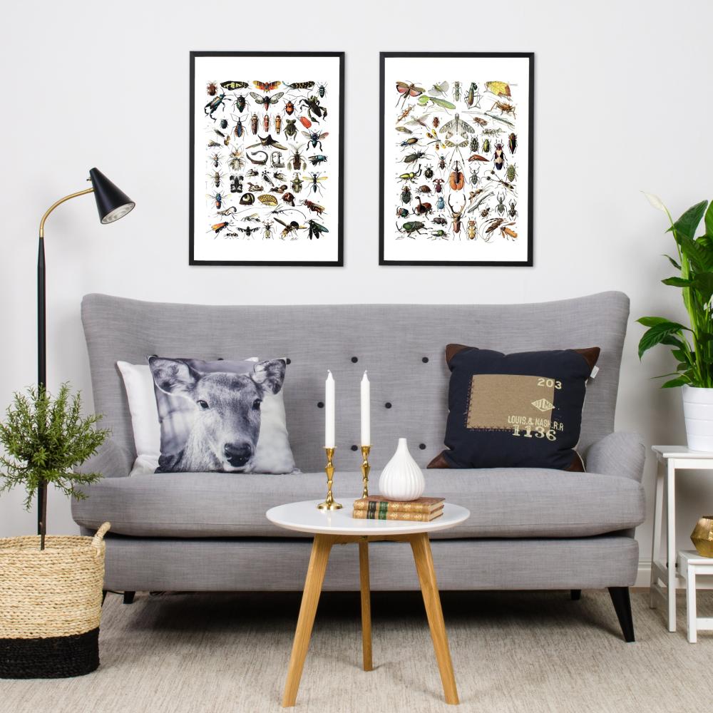 Iskolai rovarok II Poszter