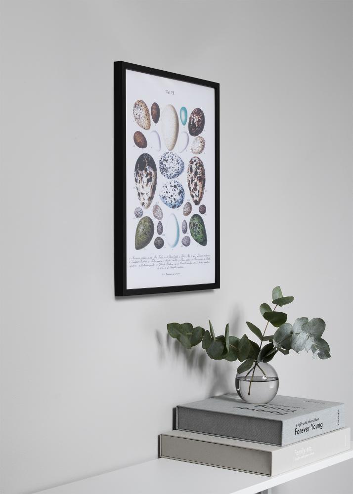 Keret Oslo Akrilüveg Fekete 50x70 cm