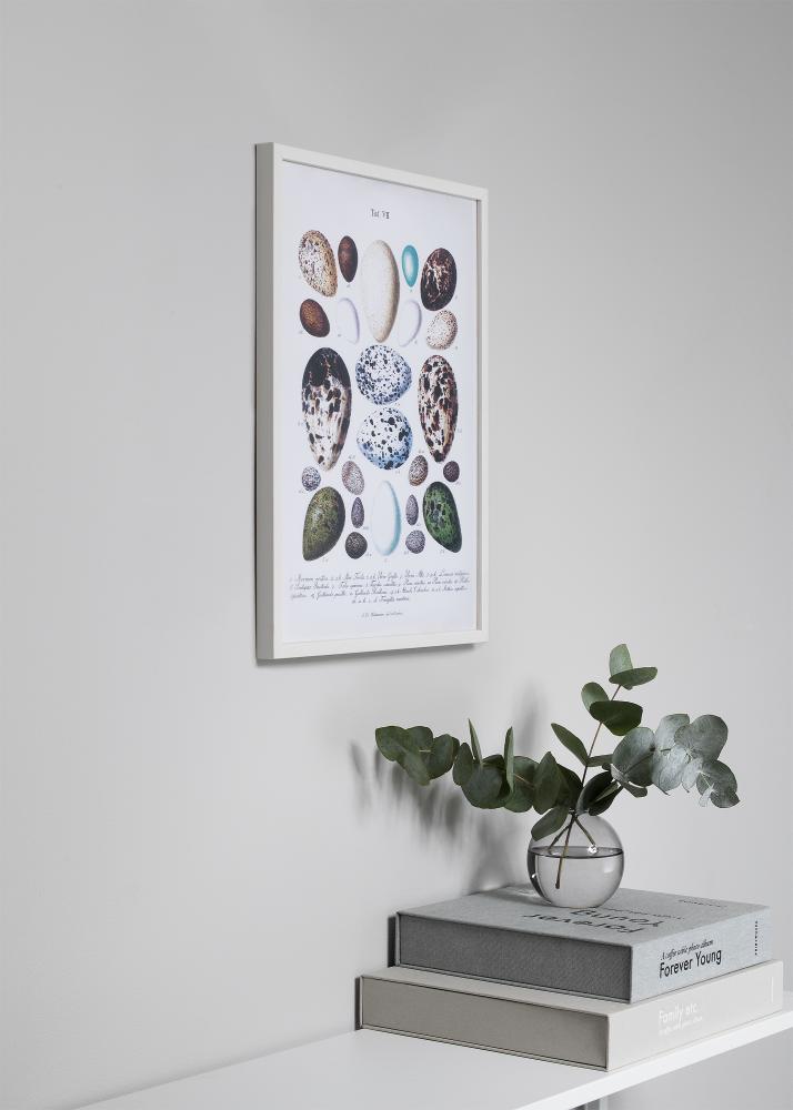 Keret Oslo Akrilüveg Fehér 50x70 cm