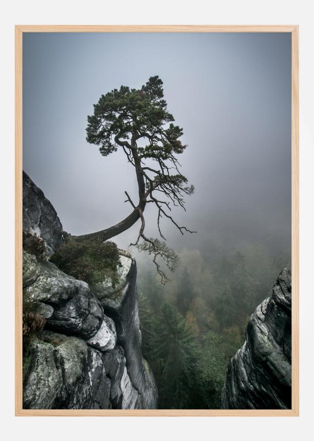 Against The Odds Poszter