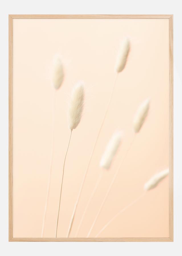 Bunny Grass II Poszter