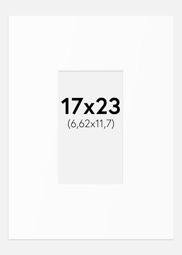 Paszpartu Standard fehér (fehér mag) 17x23 cm (6,62x11,7)