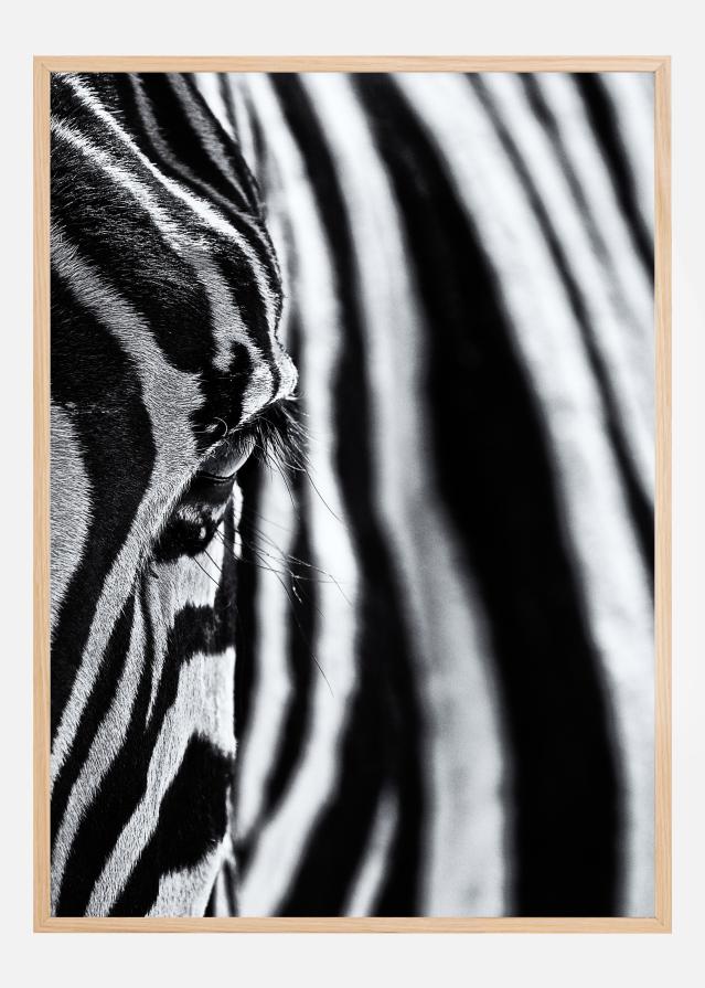 The look of nature Poszter