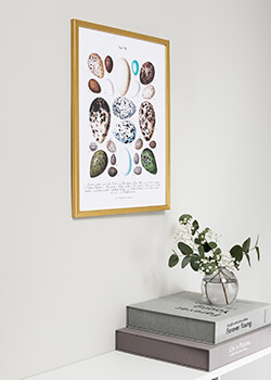 Stílusos keretek arany színben