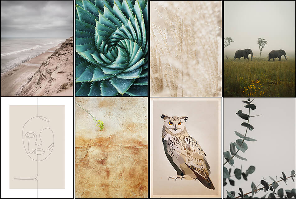 Természetes színű poszterek – természetközeli lakberendezés